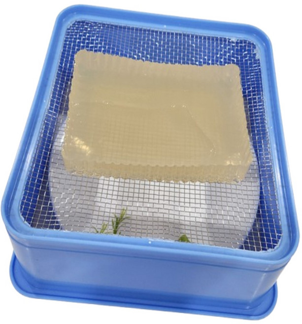 사각 묵채 우무가사리채 사각우무가사리채 묵채썰기, 사각묵채 2호, 1개