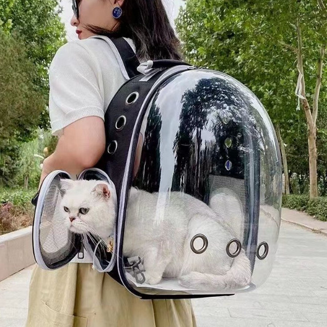 디앤몰 고양이 강아지 이동장 반려동물 투명 외출가방 우주선 이동가방 백팩, 그레이