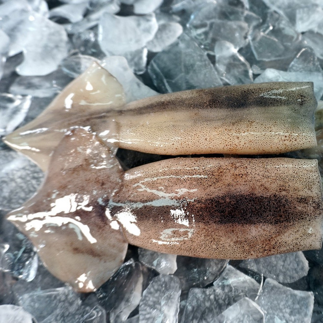 대천해 손질 통오징어 2미, 2미(240g), 1개