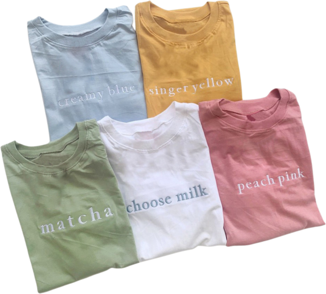 destinytshirt 字母刺繡寬鬆短袖T恤 韓版女裝上衣 多色可選 均碼