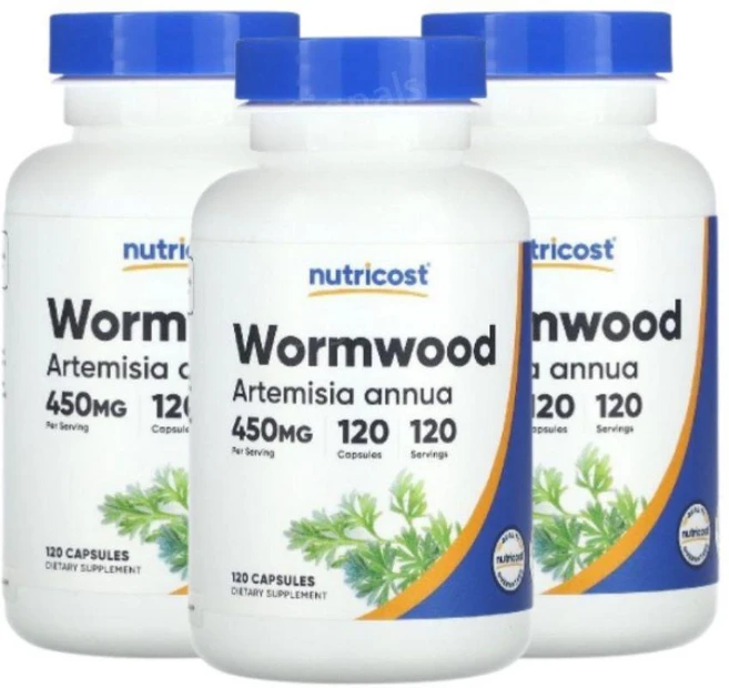 뉴트리코스트 약쑥 450mg 120캡슐, 120정, 3개 - 쿠팡