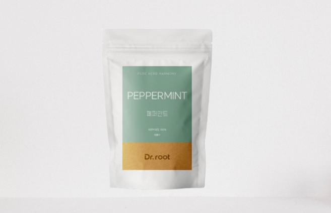 닥터루트 페퍼민트 삼각티백 100T, 1.5g, 100개입, 1개