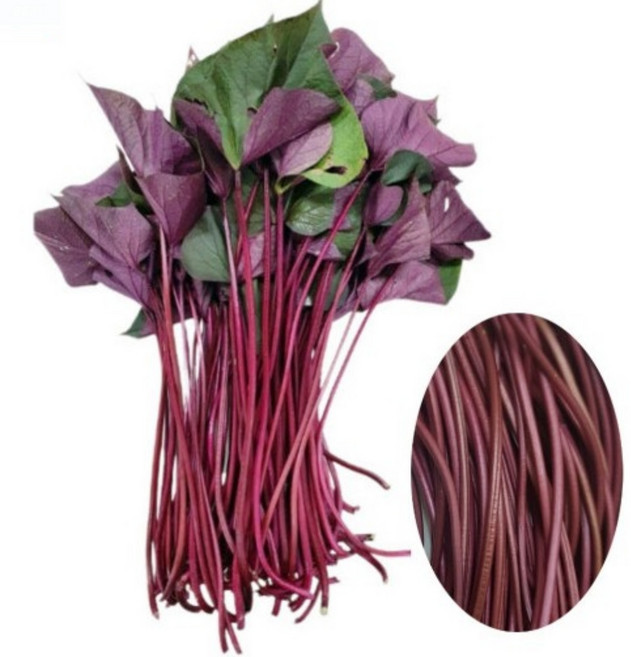 여주 고구마 줄기 통채루 껍질째먹는 고구마순(잎포함), 1kg, 1개