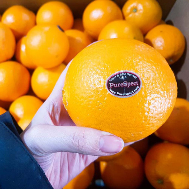 달달과수원 퓨어스펙 맛있는 고당도 오렌지, 20개, 4kg