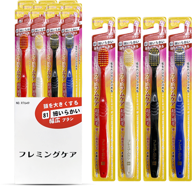 에비스 6열 와이드 광폭 왕칫솔 미세모 12개입, 1개, 1개입