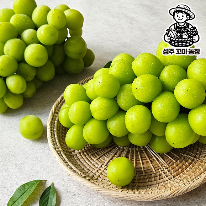 산지직송 고당도 샤인머스켓, 특품 4kg 내외 (4-5수), 1박스