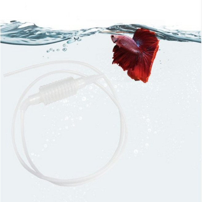 미니 사이펀 소형 어항 베타 구피 치어, 1개