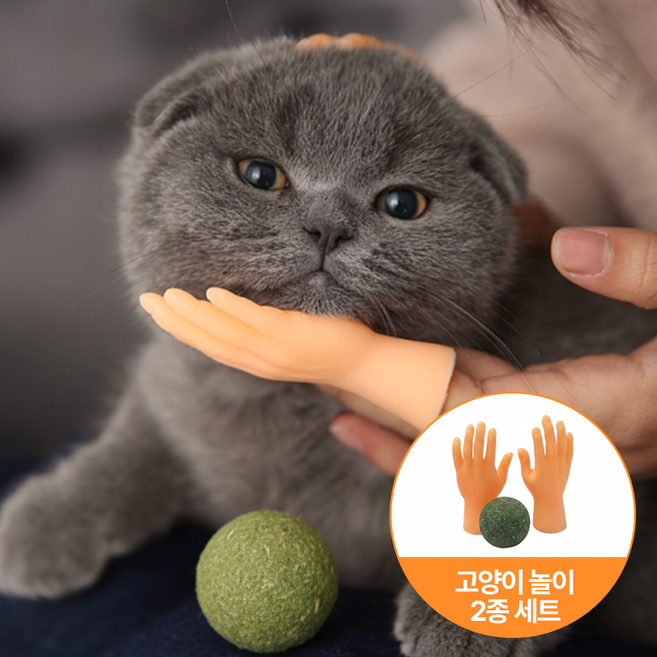 [MSMULTIVERSE] 고양이 마음 몰라도 이건 산다 냥이 마사지 캣닢볼 인스타 소품