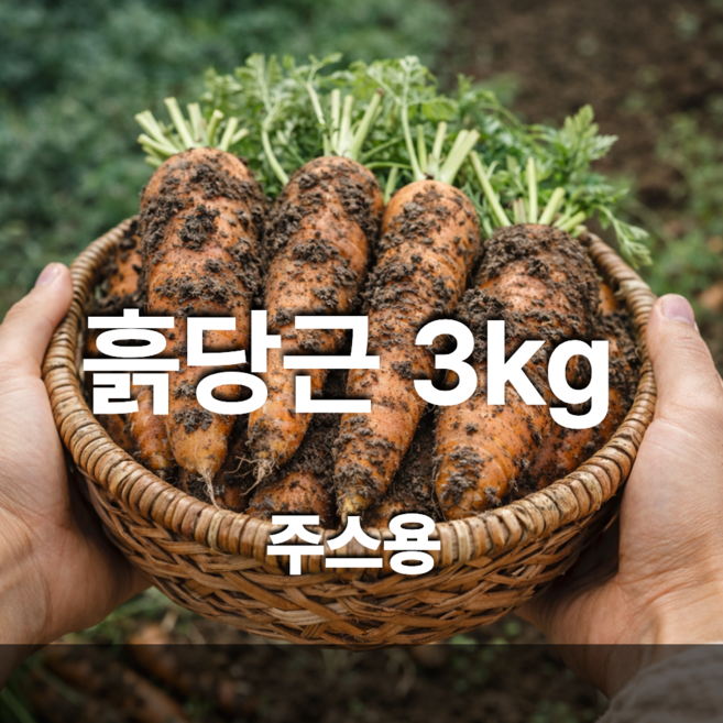 제주 구좌 흙당근 3kg 산지직송 주스용 요리용 국내산 당근, 1개, 중2kg