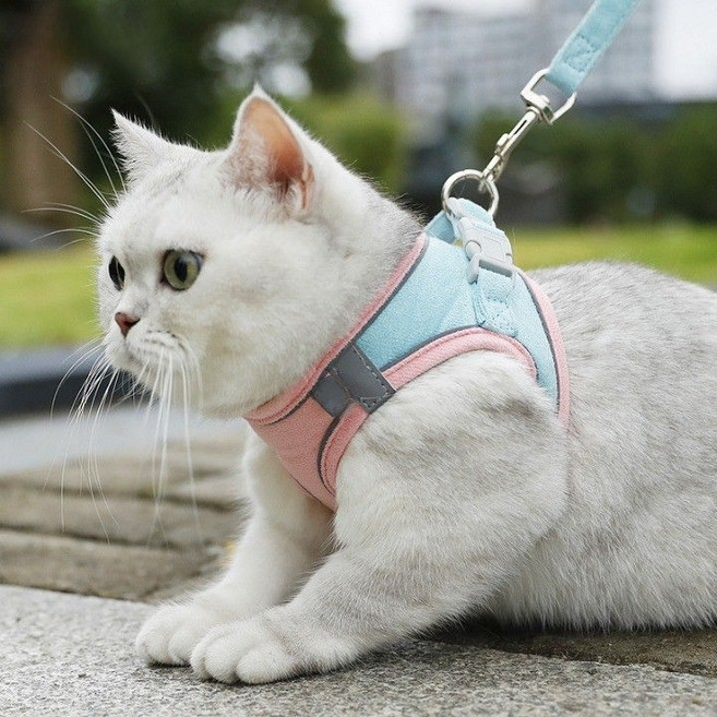 디아쿠아 고양이 강아지 야광 빛반사 벨크로 하네스 리드줄 세트, 민트핑크, 1개