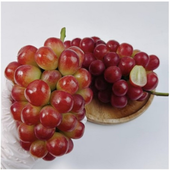 레드샤인머스켓 [ 삽목1년 ] / 제이에스그린