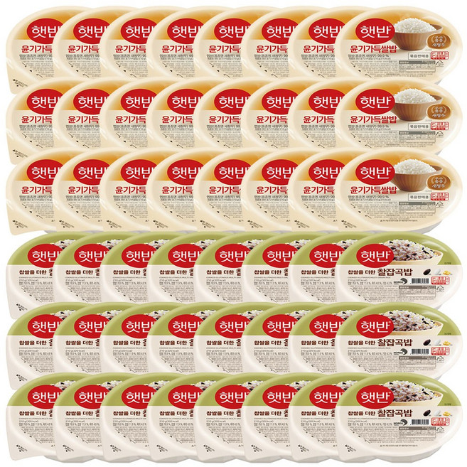 CJ제일제당 [T] 햇반 윤기가득쌀밥 210g x24개+찰잡곡밥 x24개, 48개