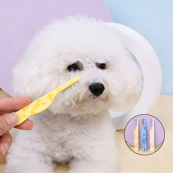 LXU 강아지 고양이 눈꼽빗 버터콤 둥근 팁 눈물자국 제거 저자극 안면 미니 참빗, 1개, 노란색