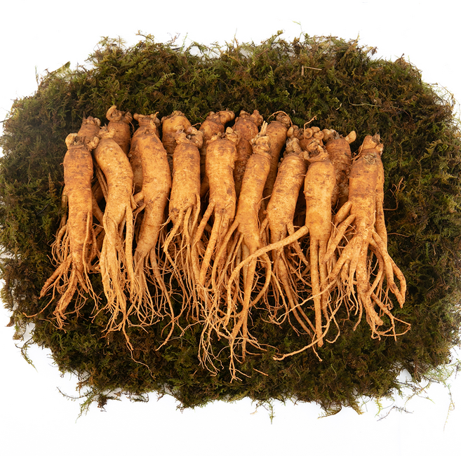 인삼 원삼 믹서 750g 경동시장 국산, 1개