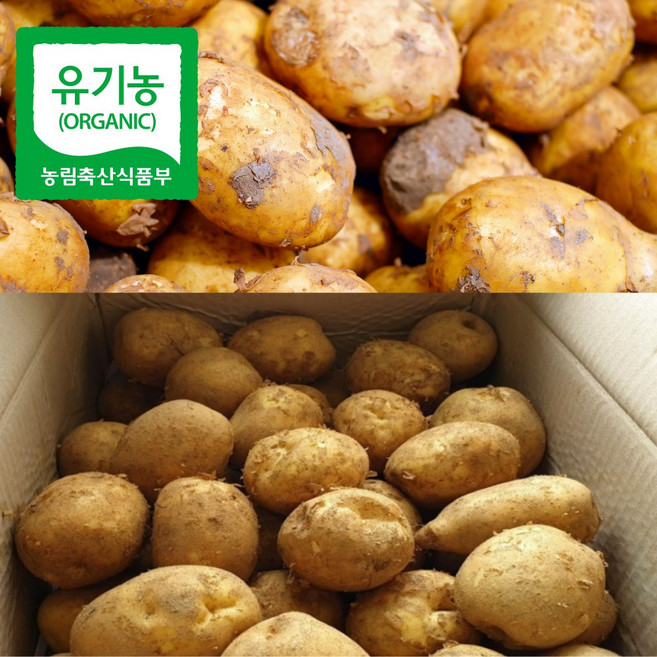 산지직송 유기농 강원도감자 강원도 감자 20kg 20키로 분감자 특대 혼합 사이즈 햇감자 카스테라감자 포슬포슬감자 1박스 분질감자 쪄먹는 분나는 감자 홍천, 1개