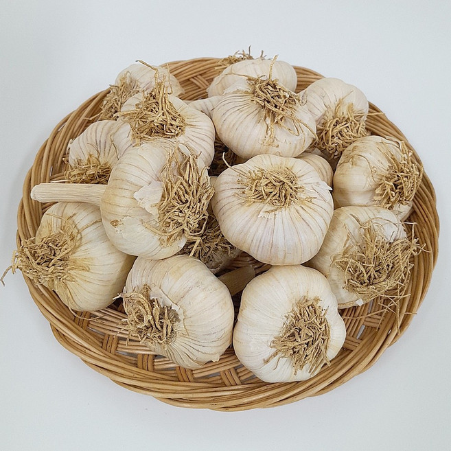 국산 홍산마늘 통마늘 식용 종자용 2kg 햇마늘, 홍산마늘 대 사이즈 (식용), 1개
