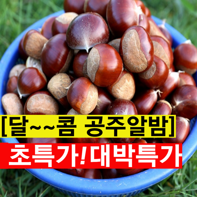 자이언트농산 국내산 공주밤 정안밤 약단밤 군밤용밤, 1박스, 1kg