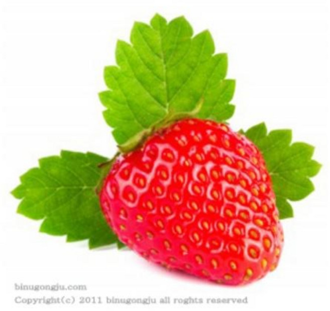 딸기 플레이버 오일 (Strawberry Flavor Oil), 30ml, 1개