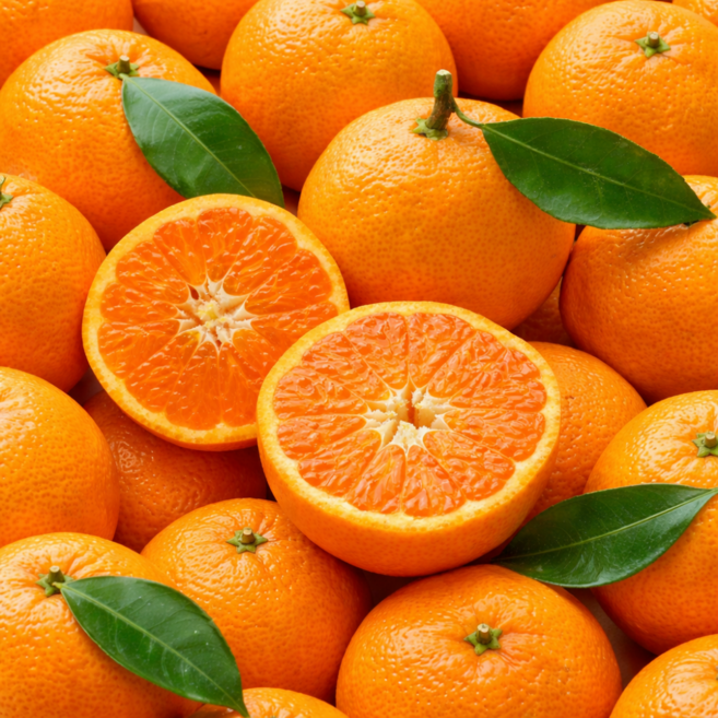 [썬트릿오렌지] 초고당도 가성비 블랙라벨 오렌지, 1박스, 10kg