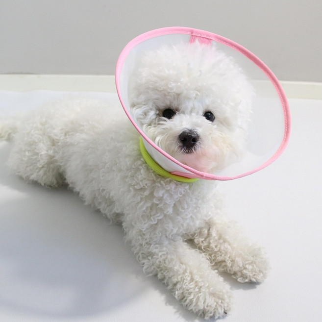 드림계곡 반려동물 초경량 나일론 메쉬 넥카라, 핑크색, 1개