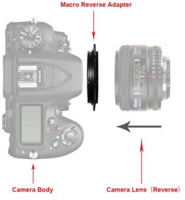 캐논 EOS RF 마운트 매크로 리버스 어댑터 링 49/ 52/ 55/ 58/ 62/ 67/ 72/ 77mm R RP R5 R6 R7, 06 72mm, 1개