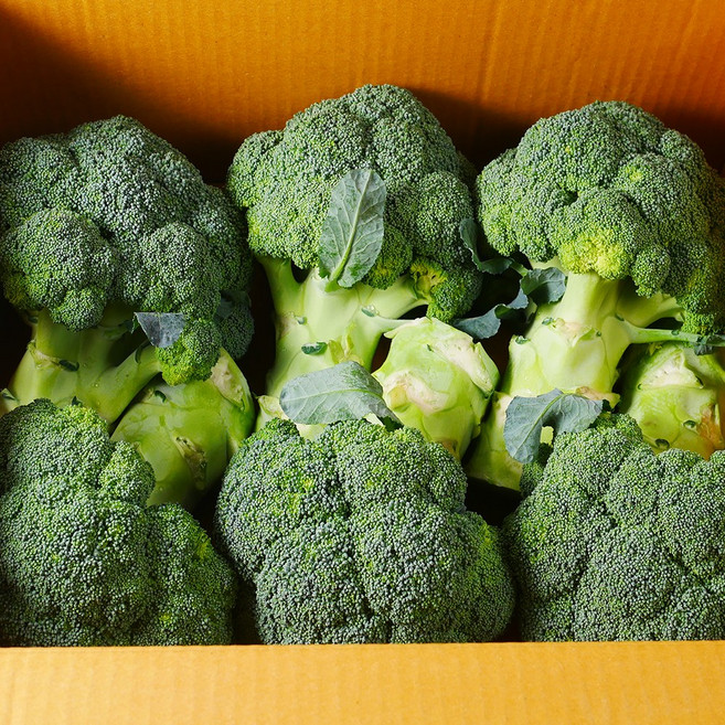 야채삼촌 브로콜리 특품, 1박스, 브로콜리 1kg