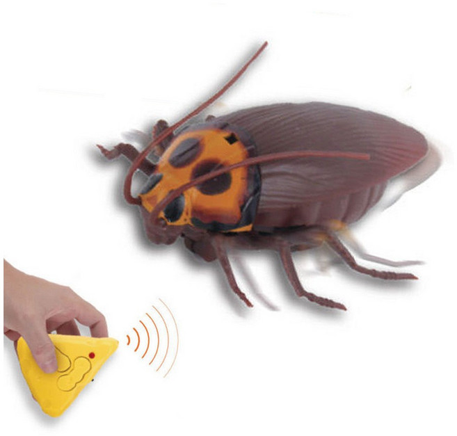 펫 로취 무선조정 장난감 어린이선물 실내놀이