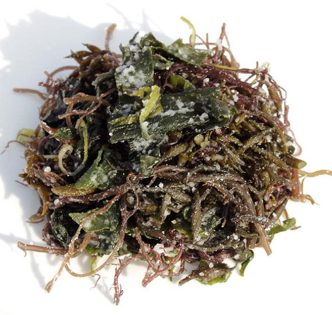 완도몰 염장 모듬해초200g, 1개