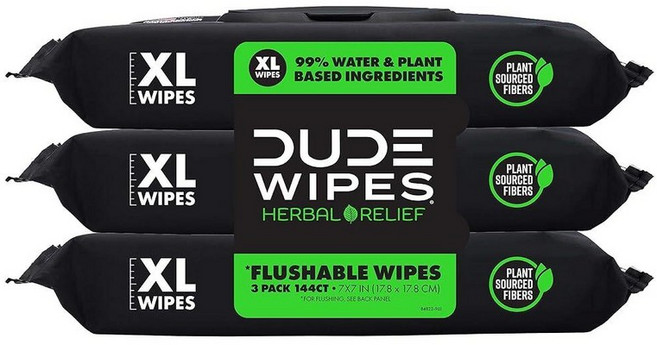 DUDE Wipes Mint Chill 변기에 버릴 수 있는 물티슈 - 초대형 성인용 1팩 (48개) 여행용 팩 티트리 오일 비타민 E 알로에 함유 정화조 및 하수구 안전, 허브 릴리프, 48개(3개입)
