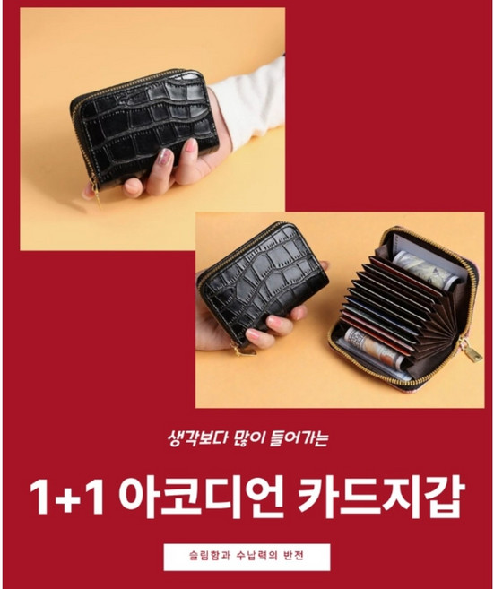 생각보다 많이 들어가는 슬림함 1+1 아코디언 카드지갑 명함케이스
