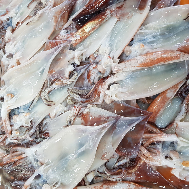 천해수산 할복 물 손질오징어 냉동오징어 생물오징어 생오징어, 정품 1kg (5~9마리), 1세트, 1kg