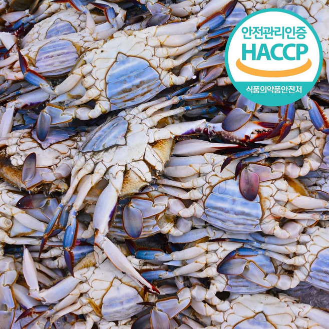 연평도 국내산 급냉 암꽃게 냉동 손질 비손질, 1개, 비절단 1kg