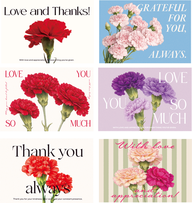 스승의날 어버이날 카네이션 꽃 감사 메세지 엽서 카드 + 카드봉투 세트, 메세지카드+봉투 6종 세트, 12개