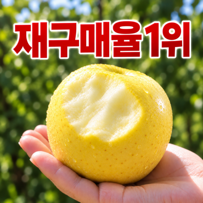 [당도선별] 황금 시나노 골드 사과, 1박스, 5kg (대과)