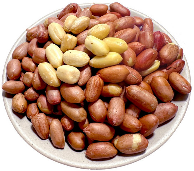 장수왕 볶음 땅콩 1등급 /알이 큰편 알땅콩 견과류, 2개, 1kg(1개)