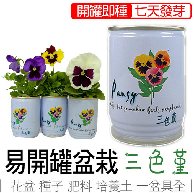 iPlant 三色堇 易開罐盆栽 - 七天發芽 花卉種植組