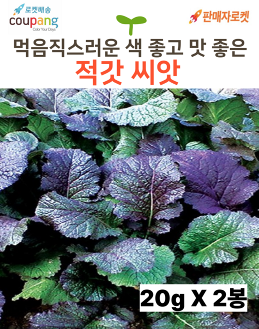 씨드림몰 적갓 씨앗 김장 갓 겨자 종자, 2개