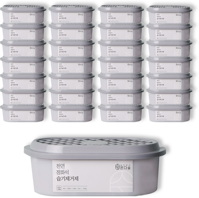 온다숲 반영구 천연제습제 습기제거제 정화석 탈취까지, 300g, 29개