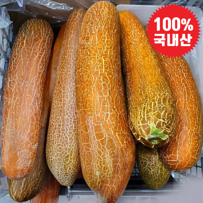10위 - [초특가할인] 국내산 노각오이 노각 늙은오이, 1박스, 노각오이 5kg