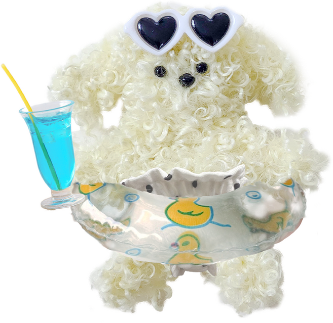 하루클래스 올인원 모루인형 DIY 키링 만들기 풀패키지 세트, 물놀이푸들, 1세트