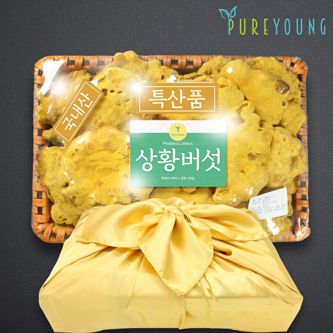 퓨어영 국내산 상황버섯 500g 선물세트, 1세트