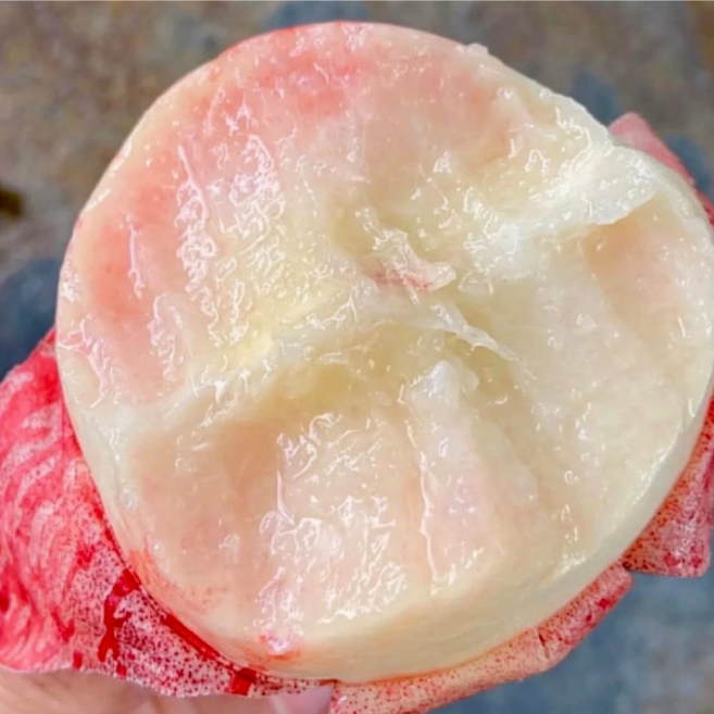 [최저가품절임박] 과즙폭발 여름제철 말랑이 고당도털복숭아, 1세트, 500g (4~5과)