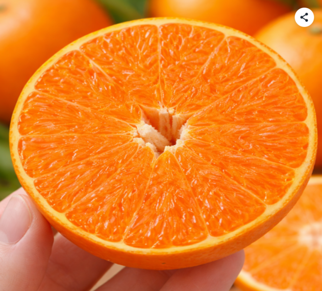 [마지막특가] 산지직송 당도선별 제주도 천혜향, 1박스, 3kg