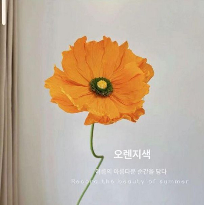 꽃 조화 대형 무대 장식 양귀비 자이언트 20cm, 60CM 오렌지 꽃 머리 없음