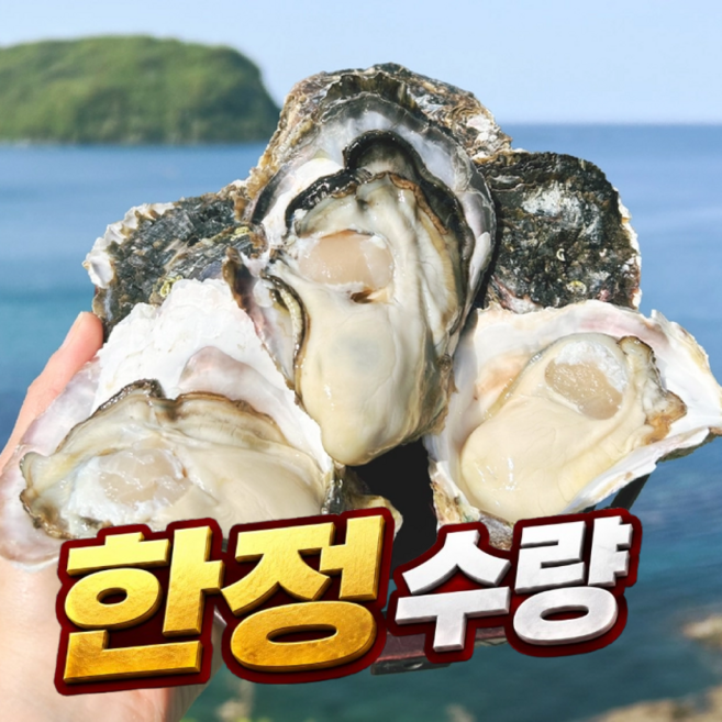 [하루10박스한정] 자연산 대왕 크림 바위굴, 1박스, 1kg