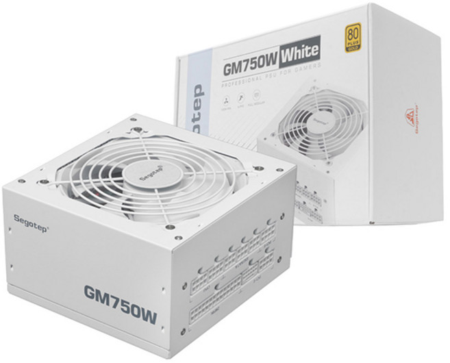 Segotep GM750W 80PLUS GOLD 풀모듈러 ATX 3.1 (PCIE5.1) 화이트, 1개