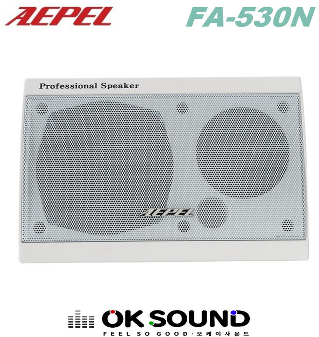 AEPEL FA-530N 화이트 패션스피커 벽부형스피커 매장스피커 카페스피커 다용도스피커 70W 1개 가격