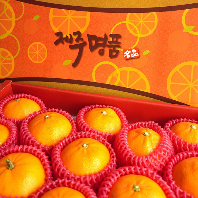 [더조은푸드] 새콤달콤 제주 고당도 천혜향, 천혜향 10kg (중대과 40-48과), 1개