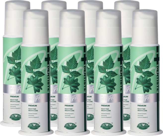 덴티스테 플러스화이트 프로 펌프형 치약, 170g, 8개