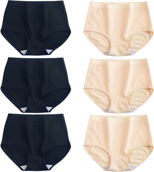 제이앤데일리 여성 면스판 순면 삼각팬티 6종세트 빅사이즈까지